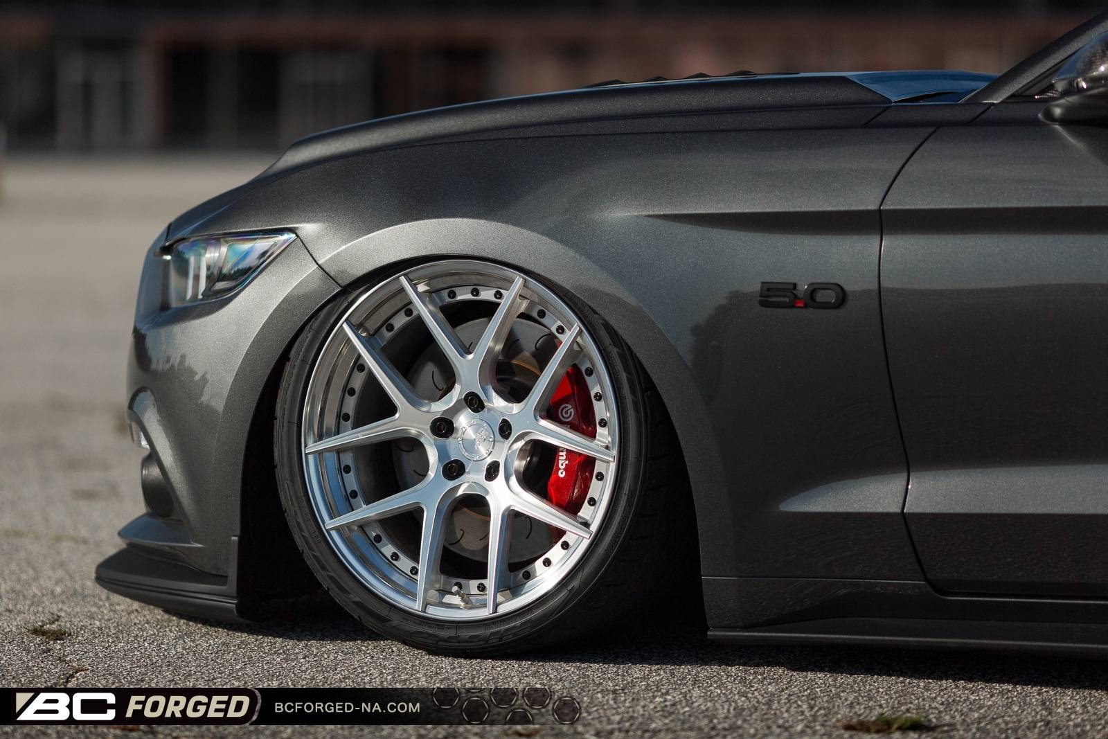 scotts-2015-mustang-gtpp-20-hcs02s-00009.jpeg