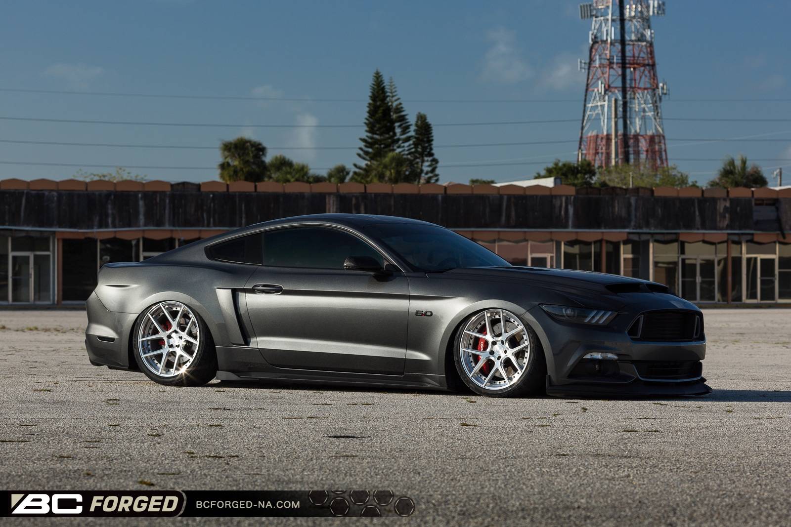 scotts-2015-mustang-gtpp-20-hcs02s-00011.jpeg