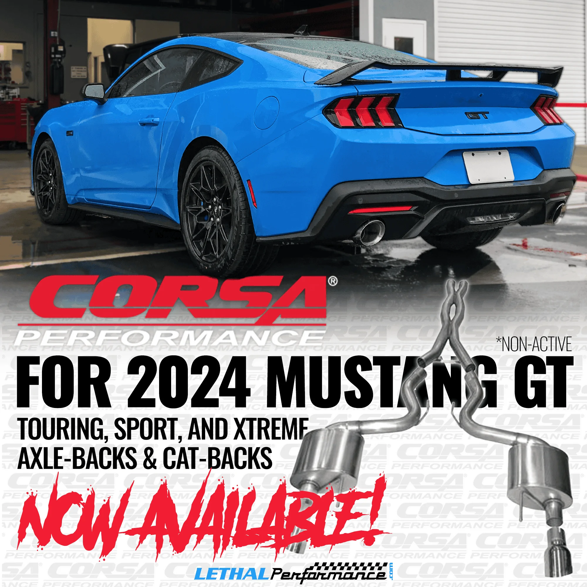 corsa 2024 .webp