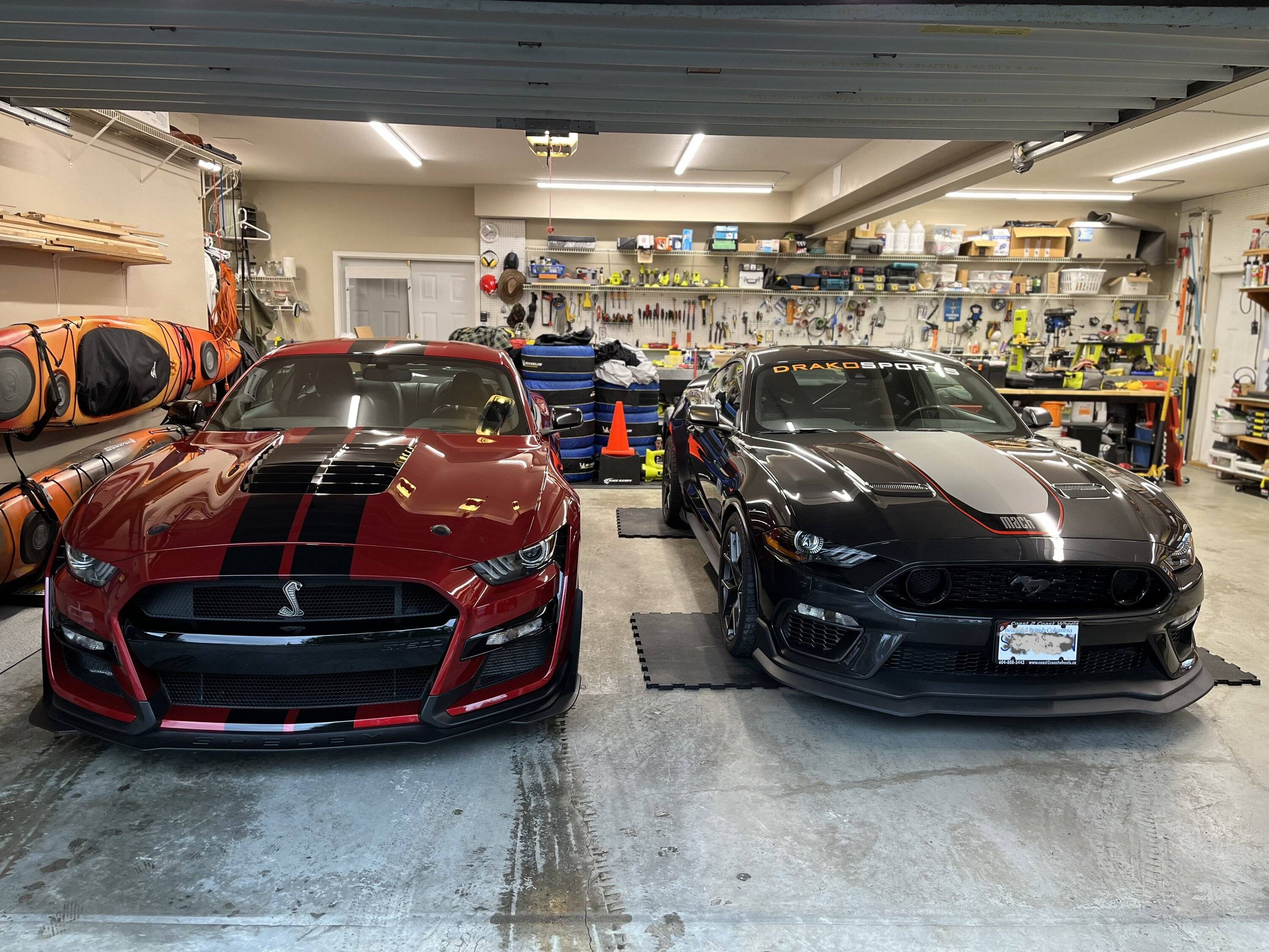 IMG_70642.jpg