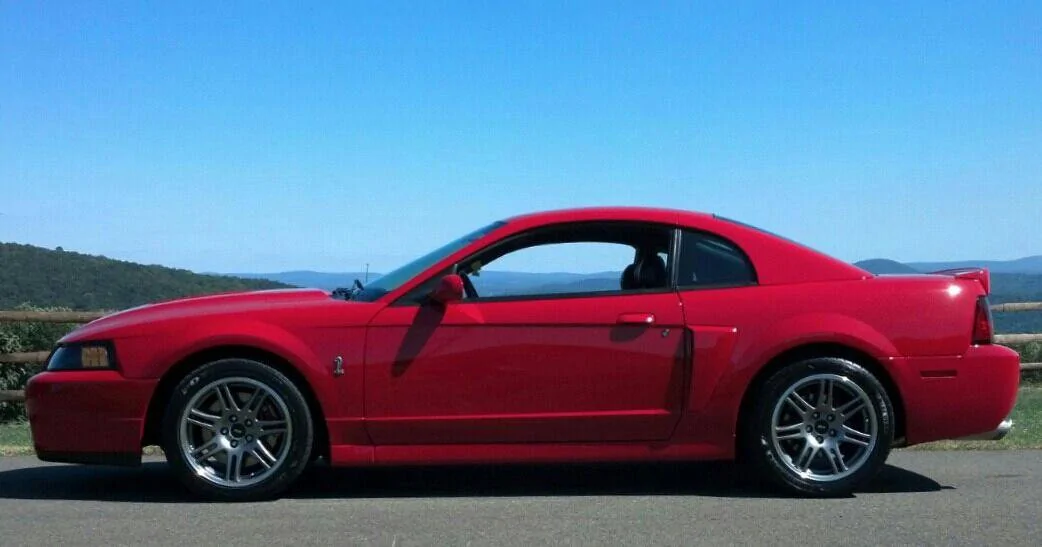 cobra.webp