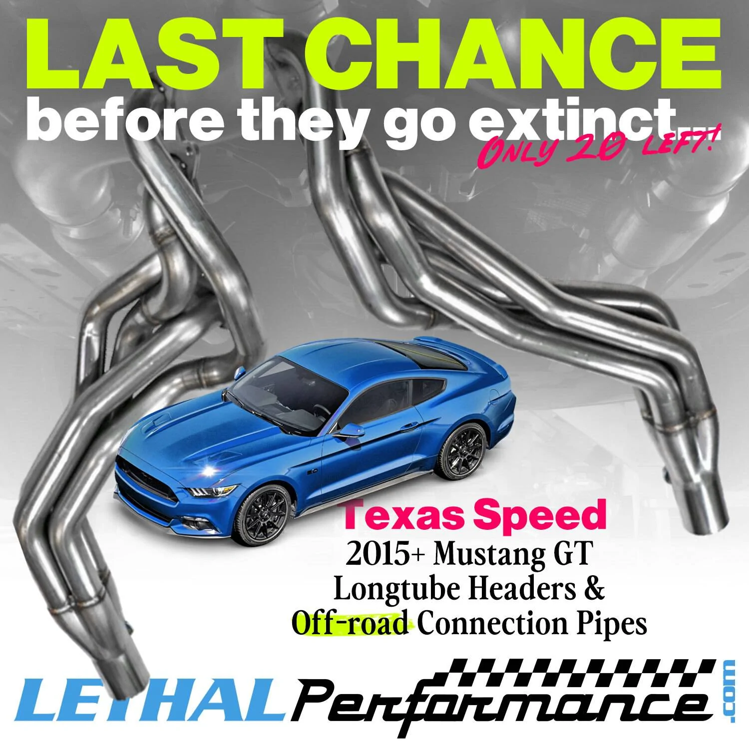 TSP_LastChance.jpg