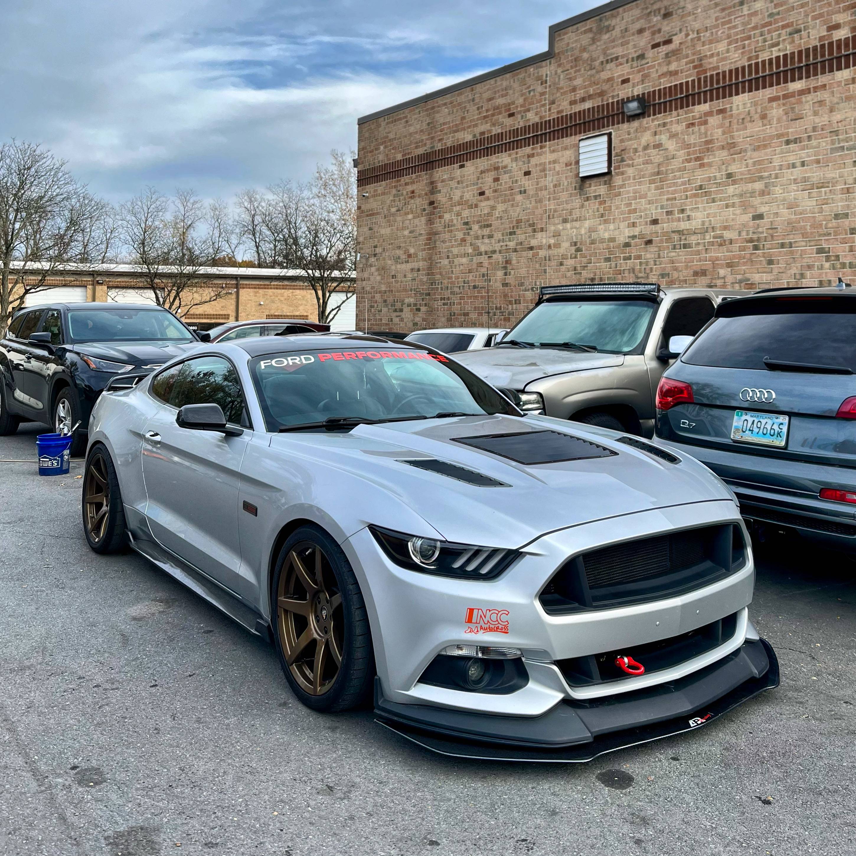 stang.jpeg