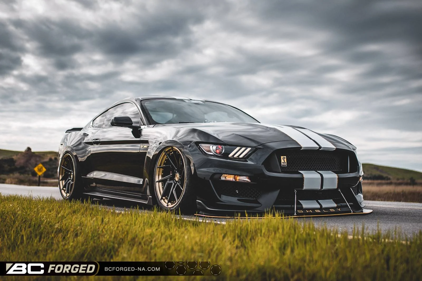 xaviers-ford-mustang-gt350-20-hca218s-00006.webp