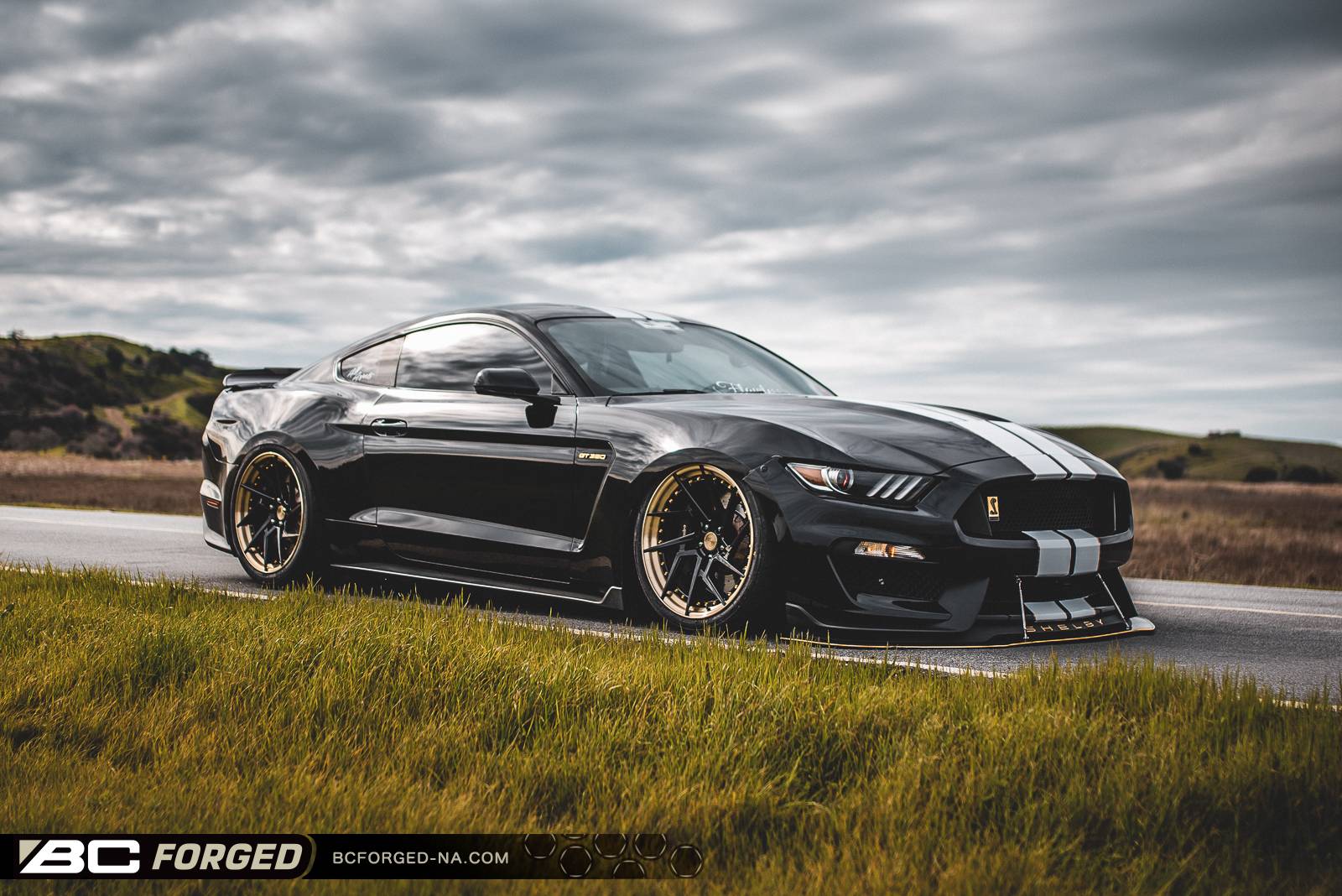xaviers-ford-mustang-gt350-20-hca218s-00007.jpeg