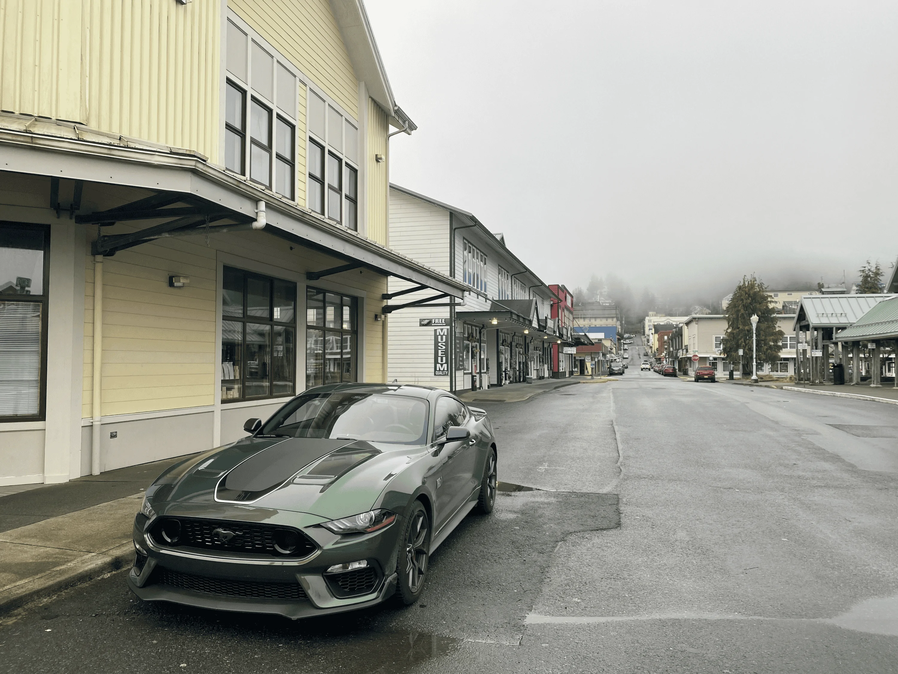 Mustang Spot.webp