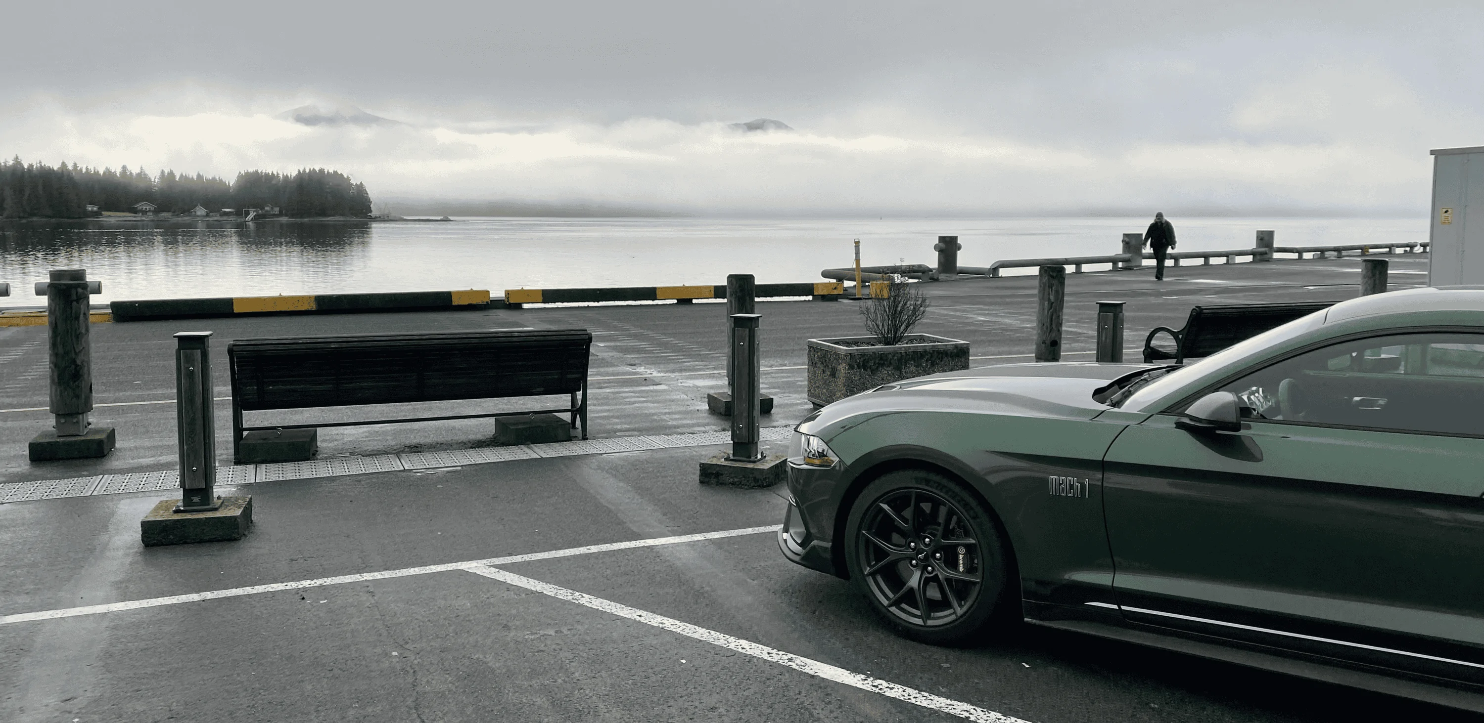 Mustang Lot.webp