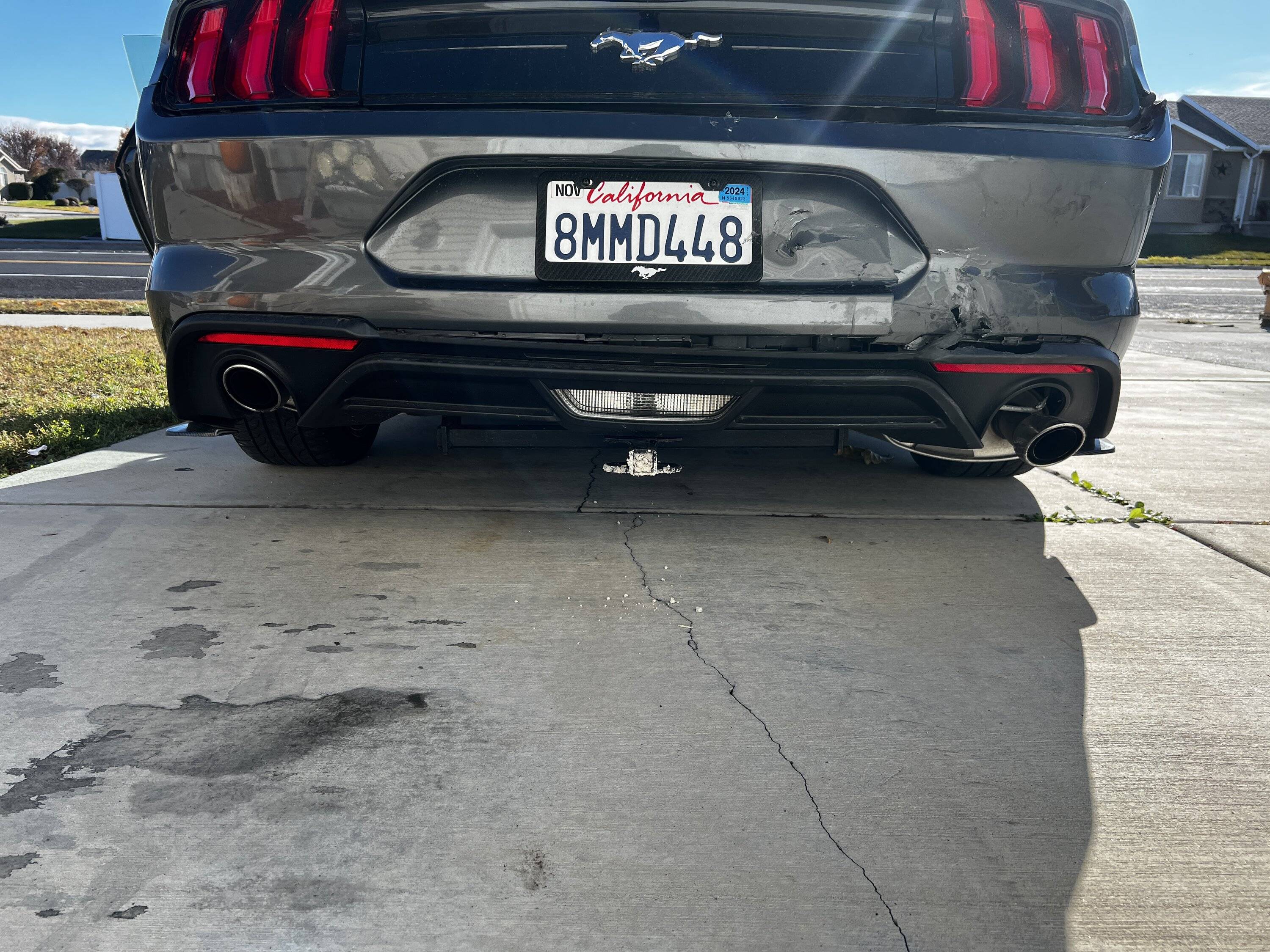 IMG_7444.jpeg