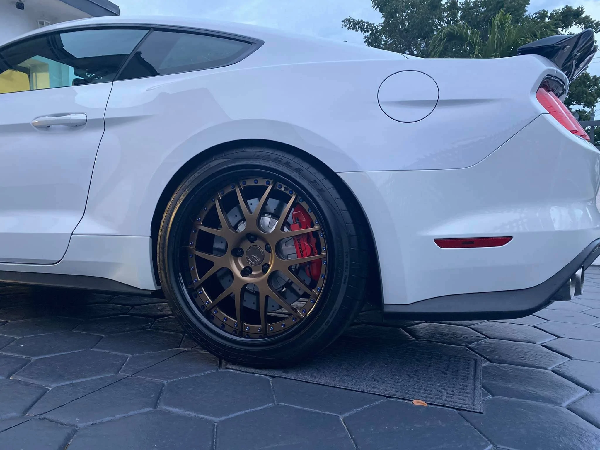 shelby-mustang-gt350-with-bronze-bc-forged-le72-wheels-3.webp