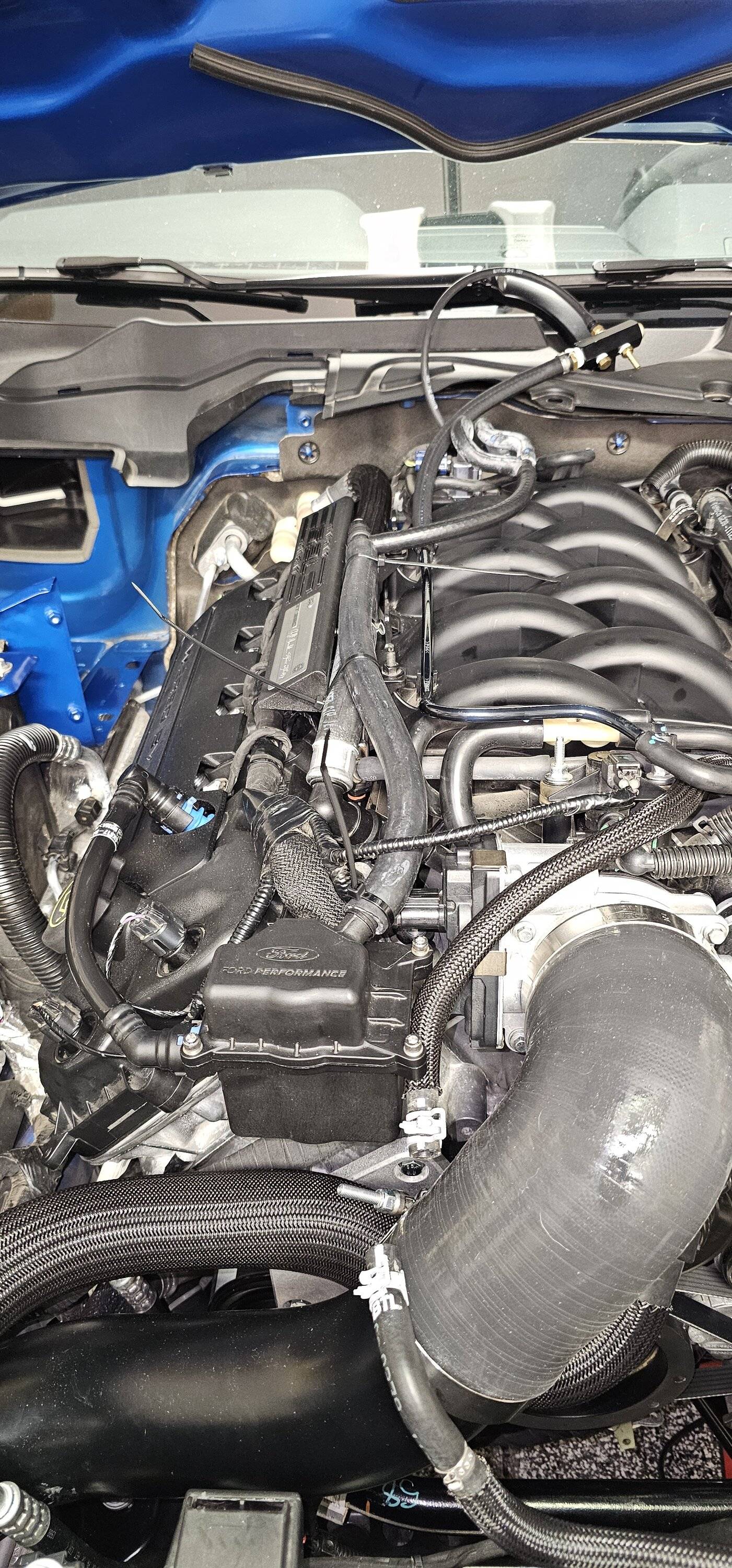20231209_225344.jpg