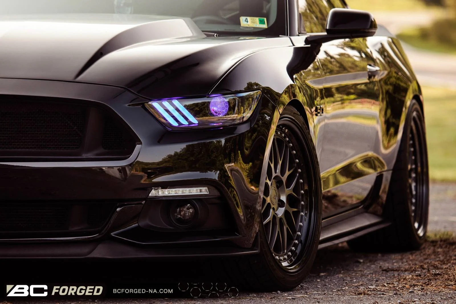brandons-ford-mustang-gt-pp-20-mle81-00001.webp