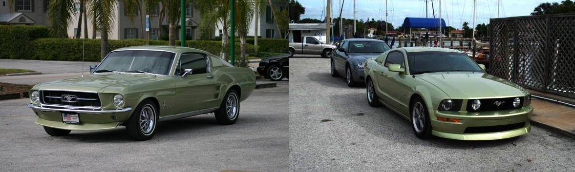 Mustangs.JPG
