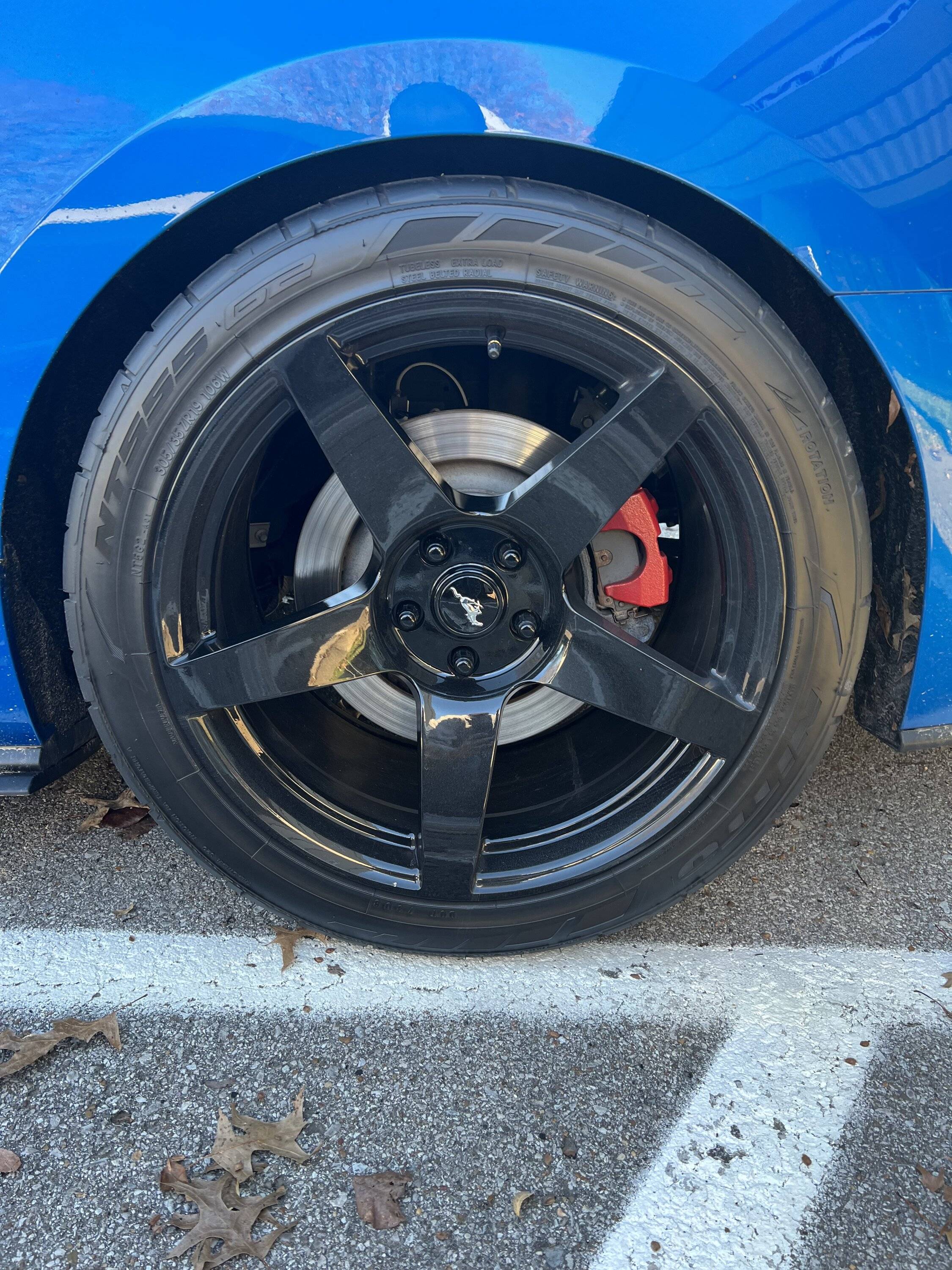 IMG_6515.jpeg