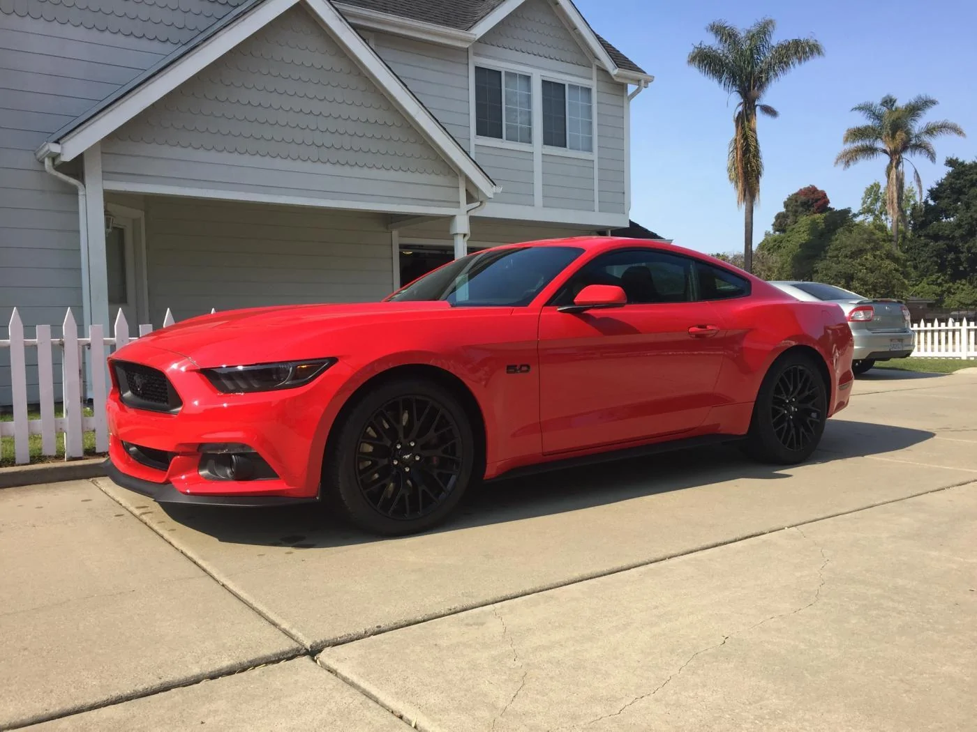 mustang.webp