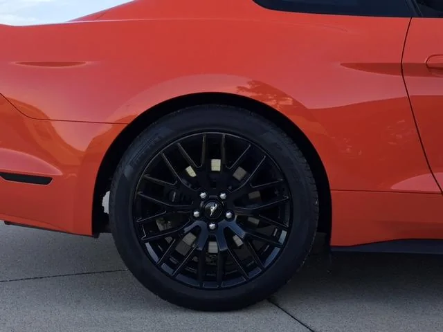 pass rear.webp