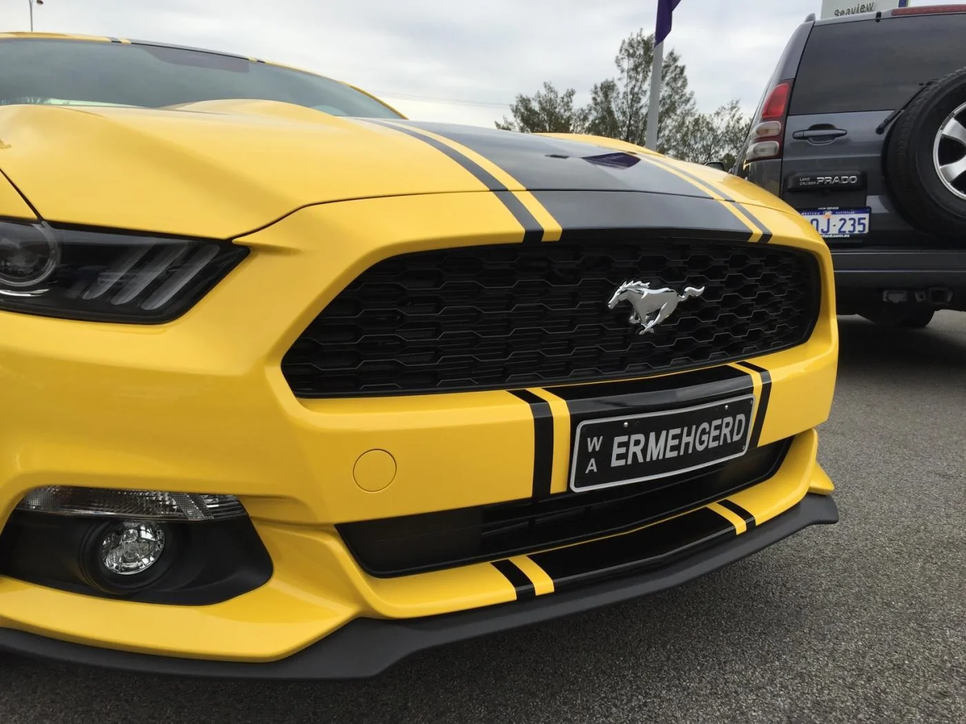 EB-TripleYellow.webp