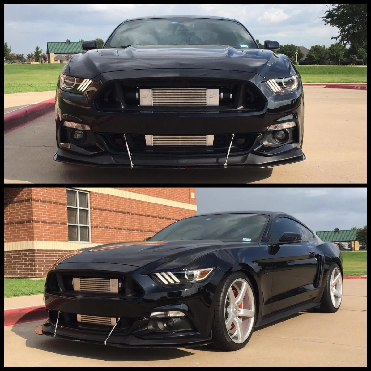 Car shots.webp