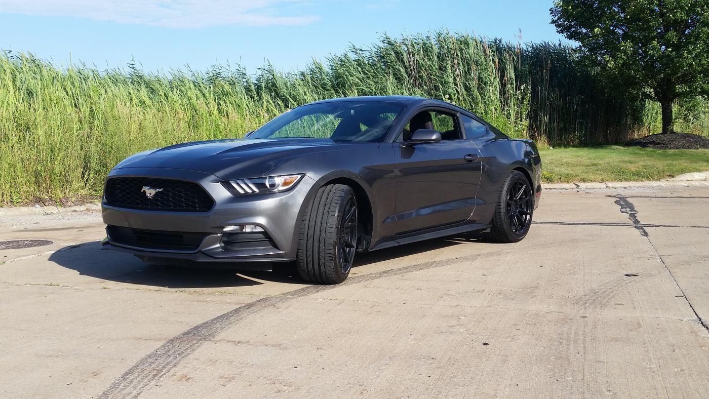 tireshine3.jpg