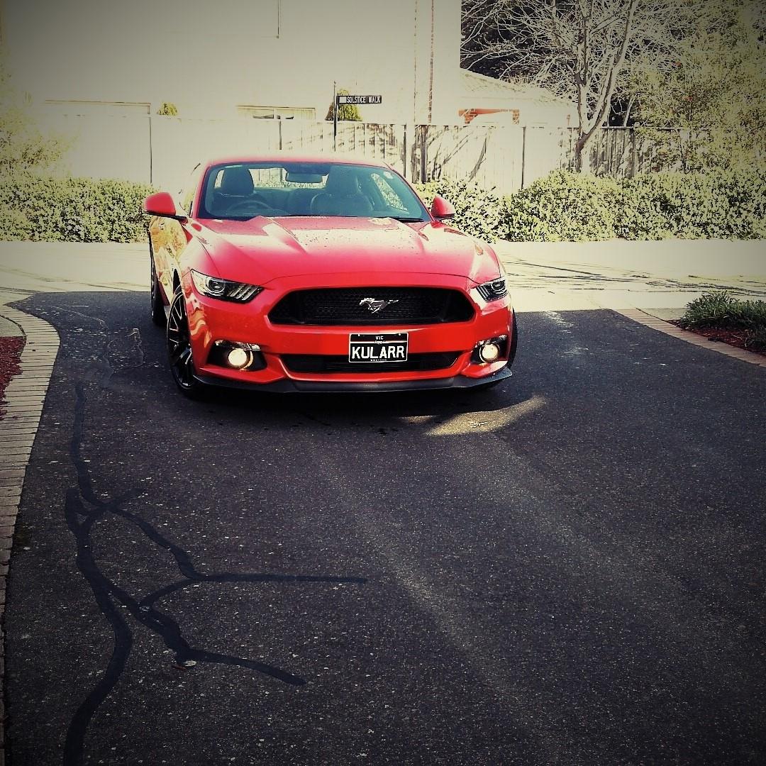 kulaar stang.jpg
