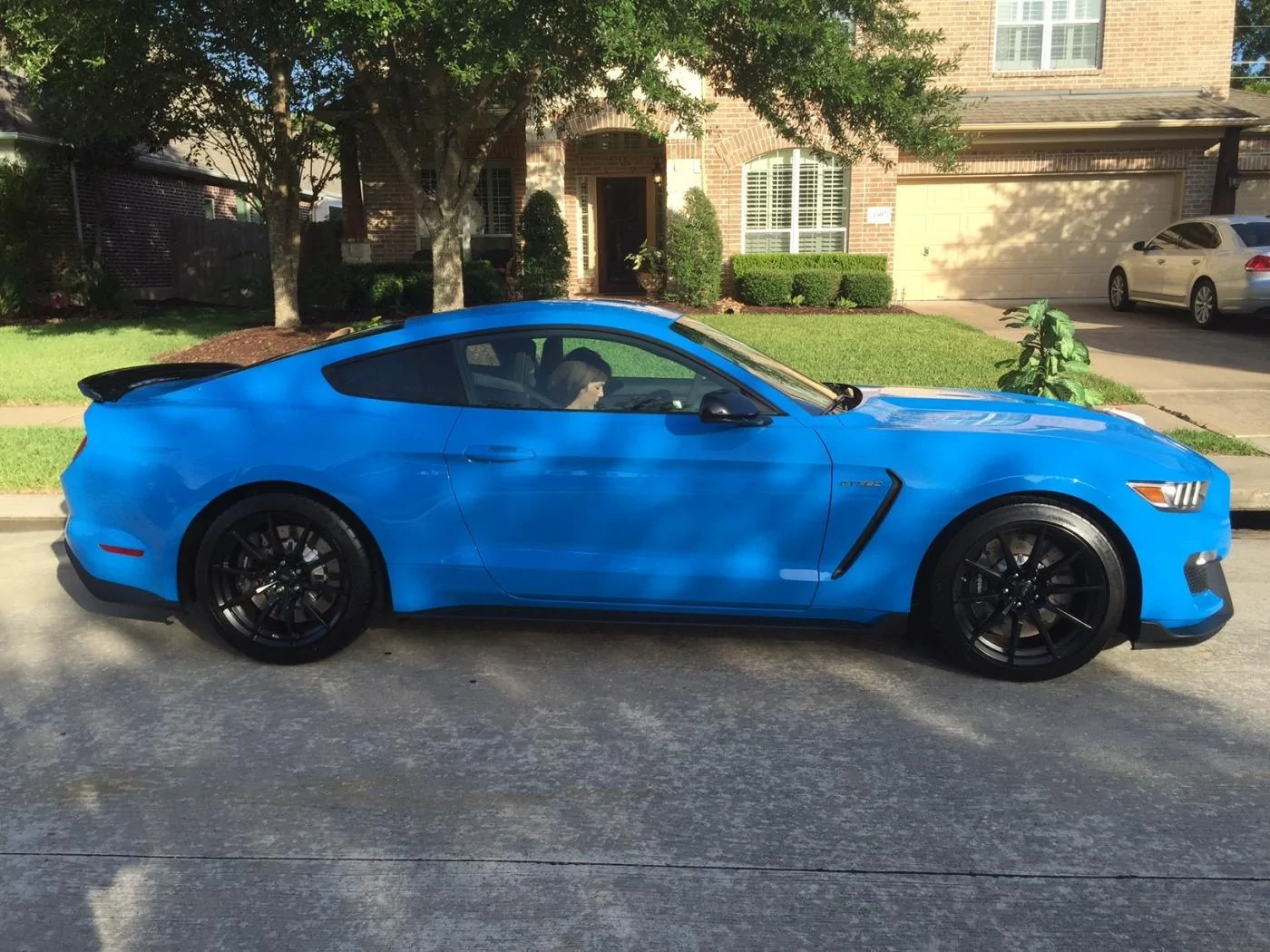 GT350 - 1.webp