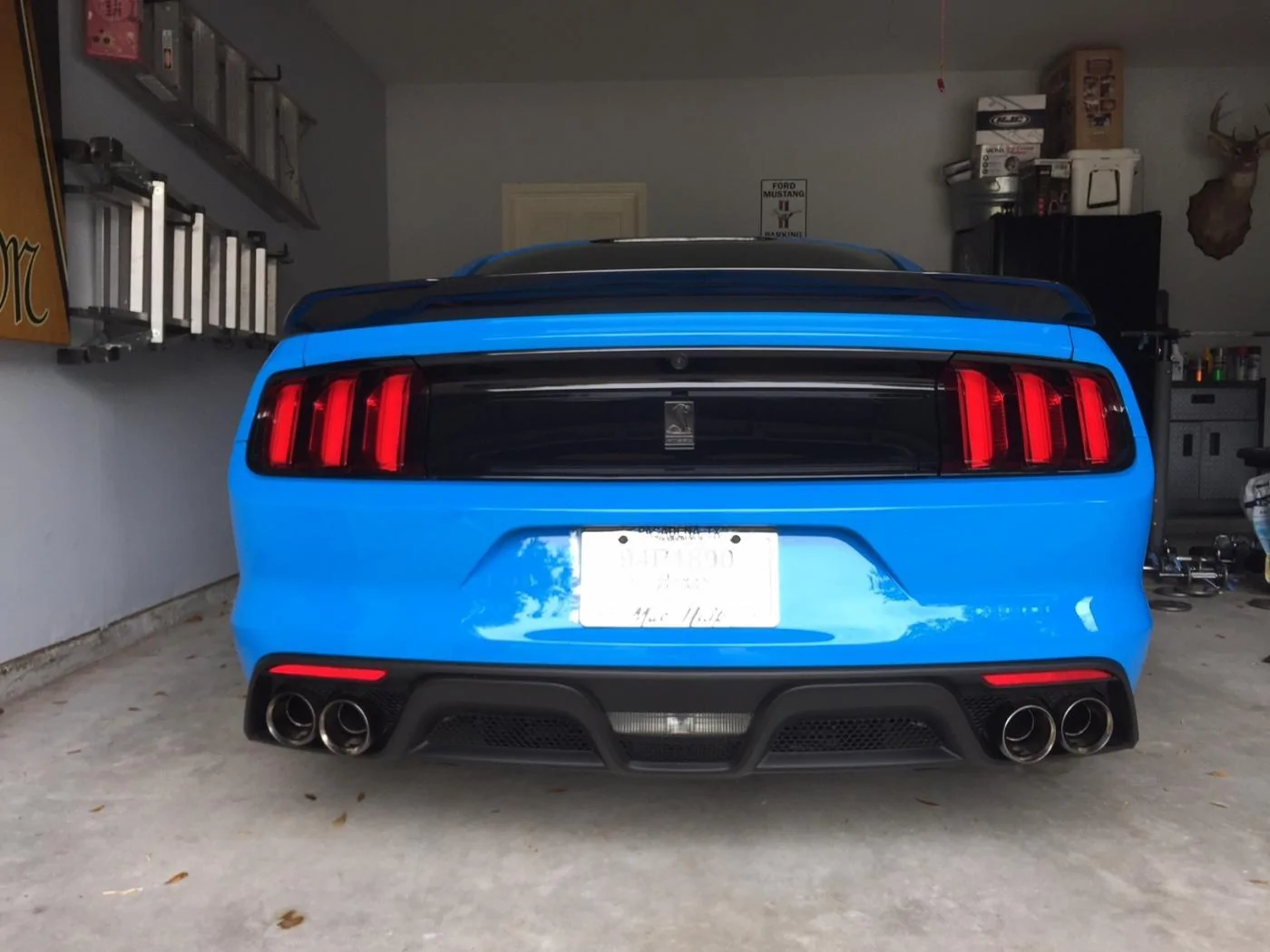 GT350 - 4.webp