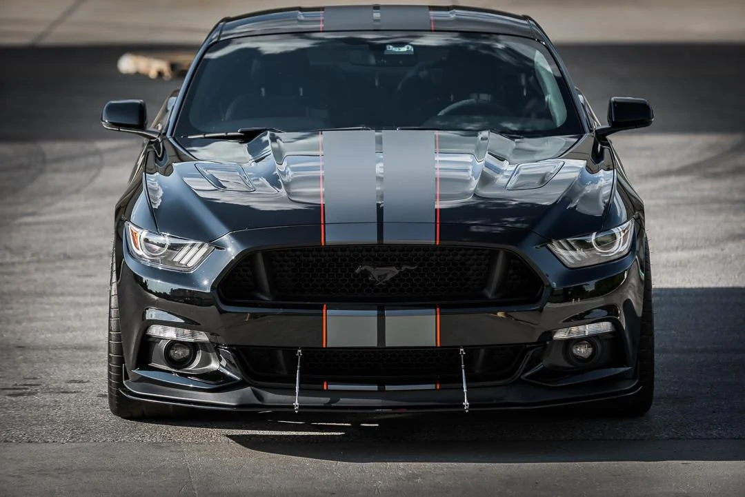 MustangQuickShoot-4.webp