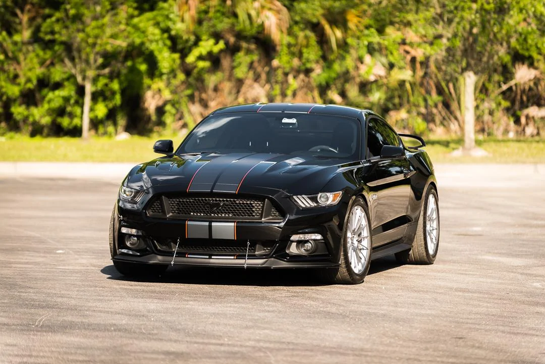 MustangQuickShoot-6.webp