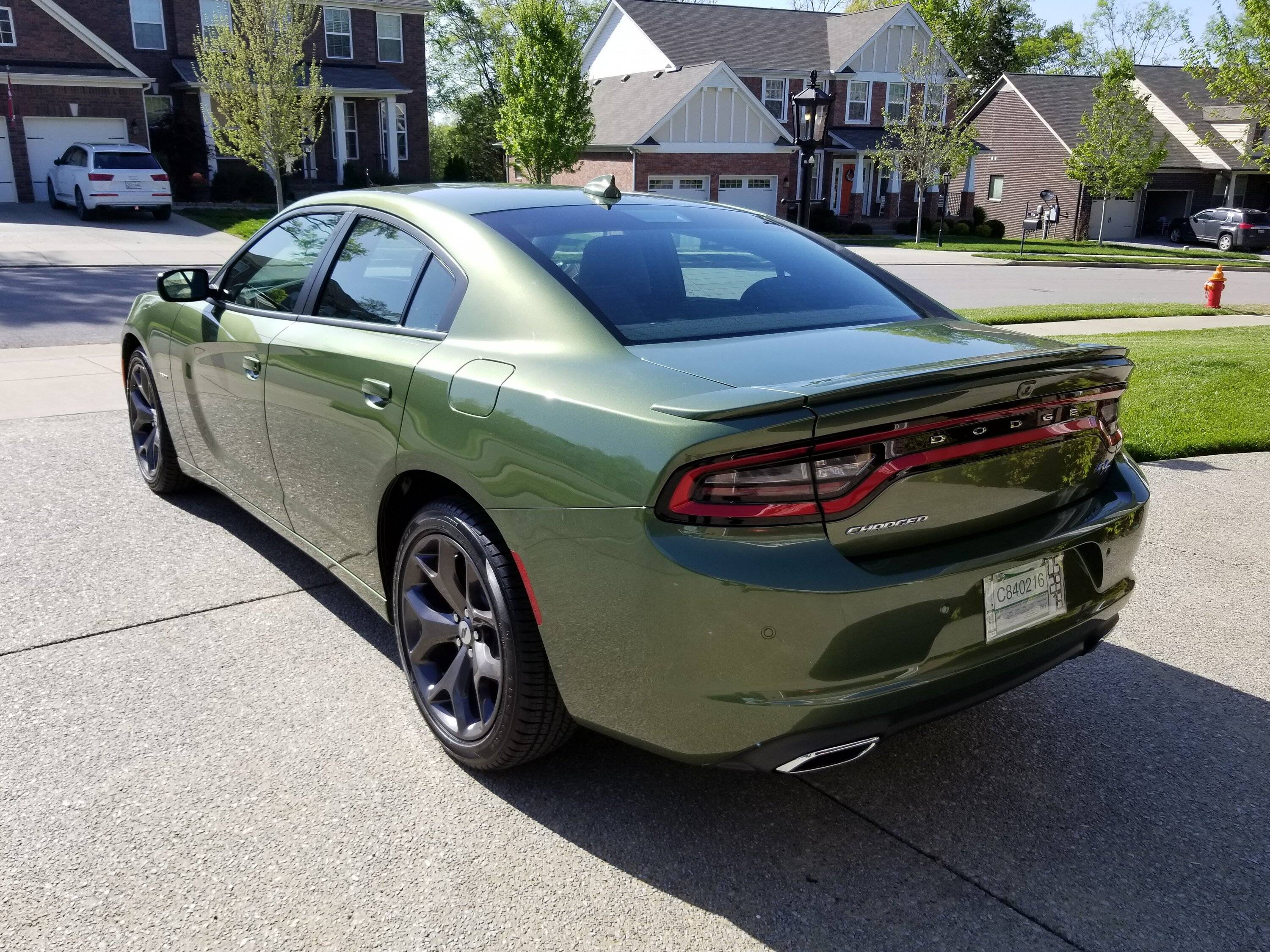 20180428_161518.jpg