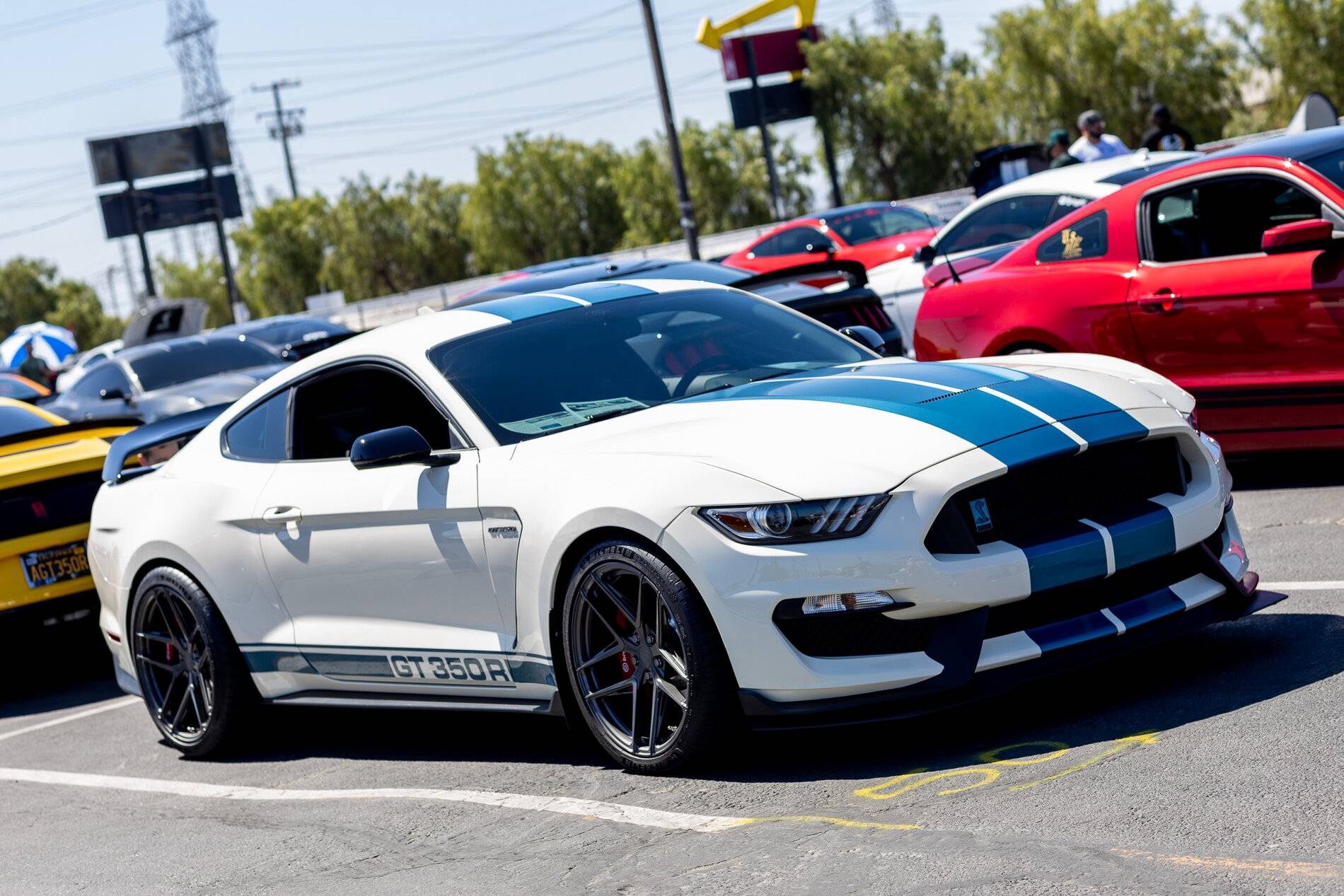 SV705 GT350 Heritage Gloss Gunmetal3.jpg