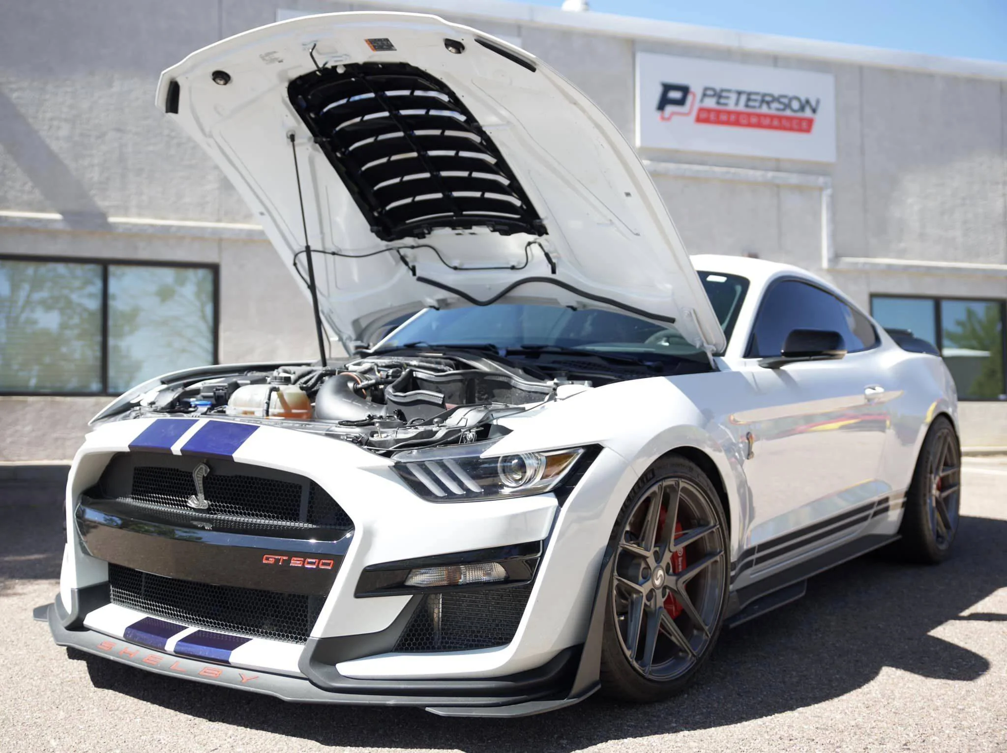 SV705 GT500 Brushed Titanium.webp
