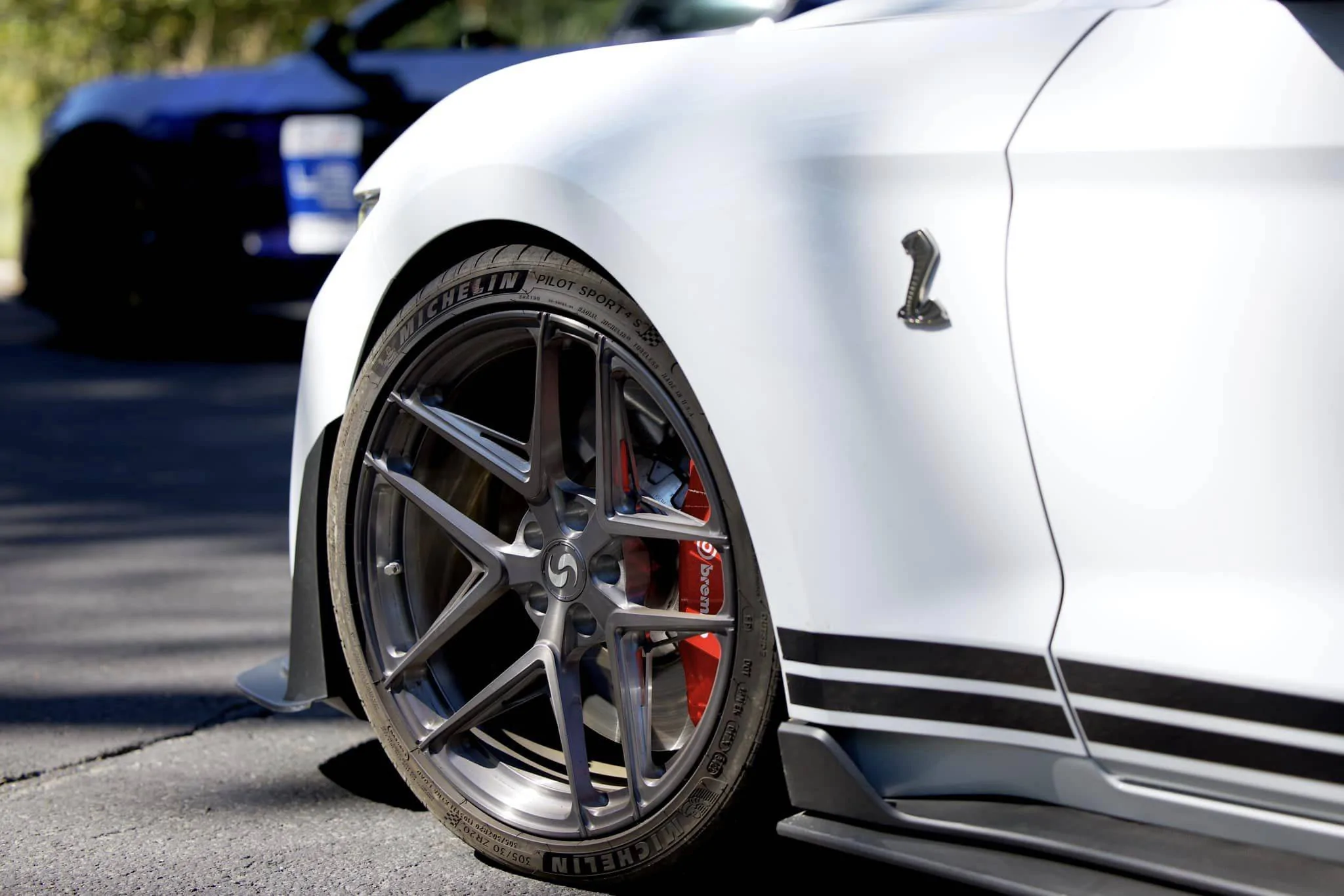 SV705 GT500 Brushed Titanium 3.webp