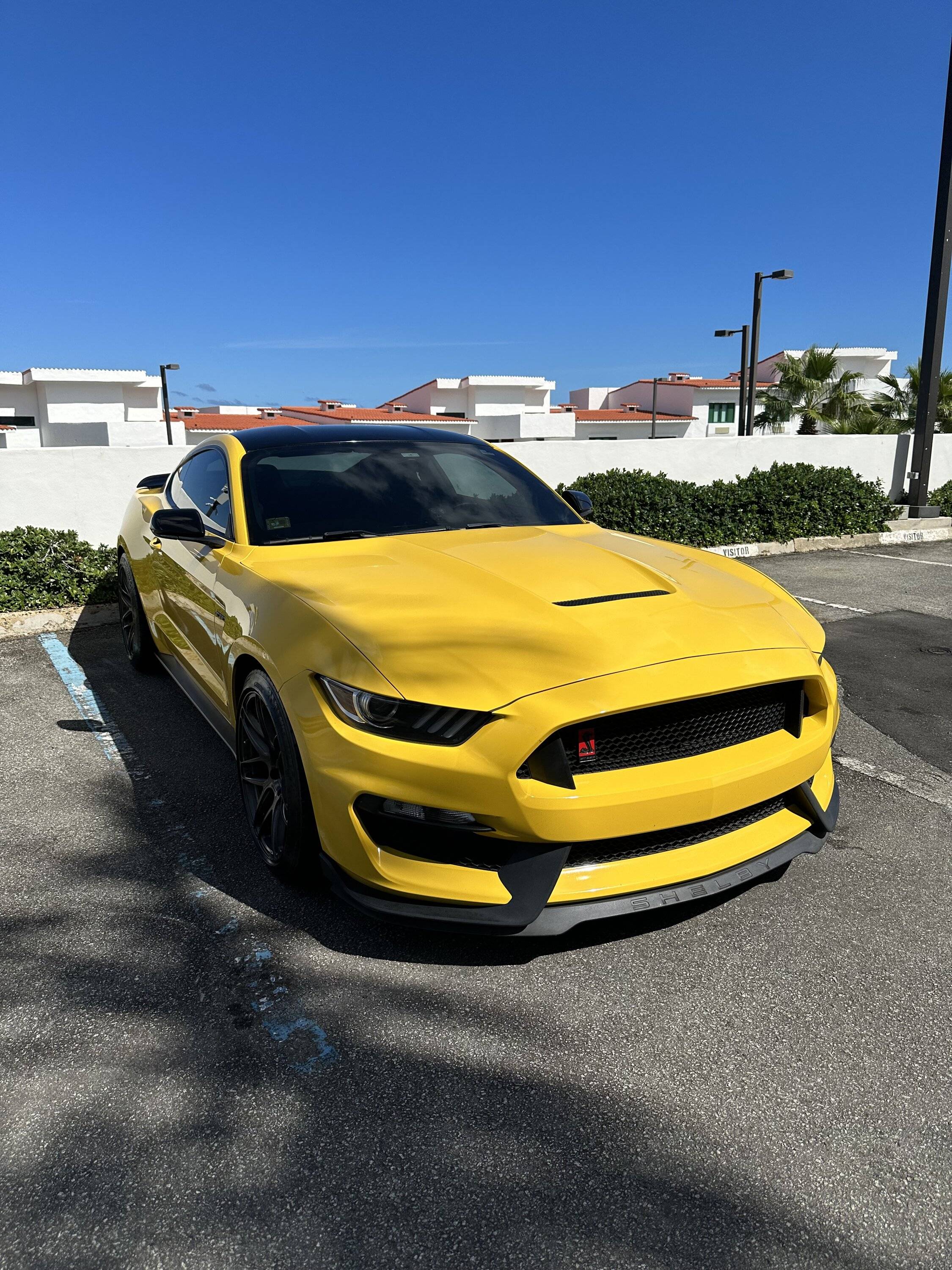 IMG_0987.jpeg