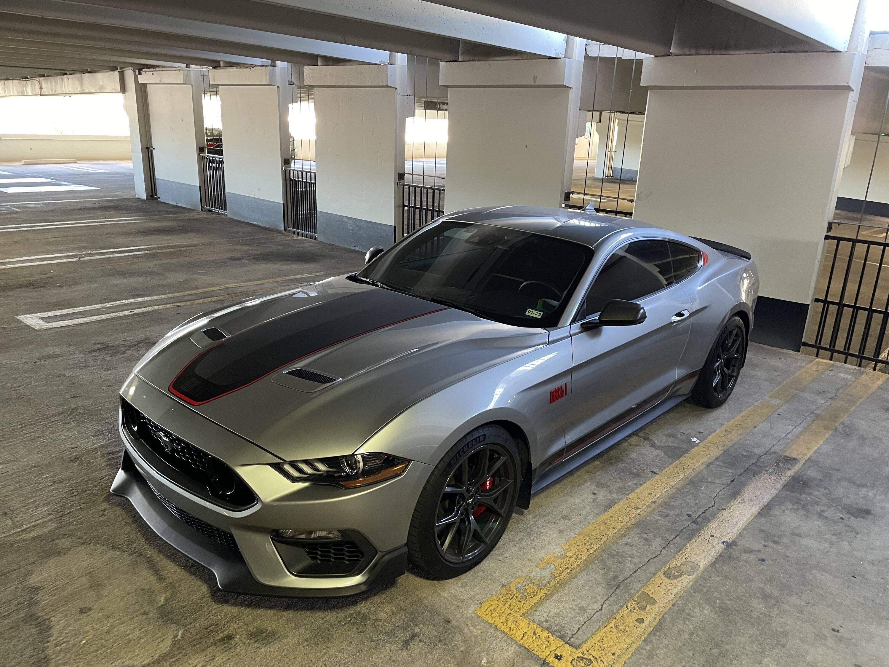 IMG_1781.jpeg