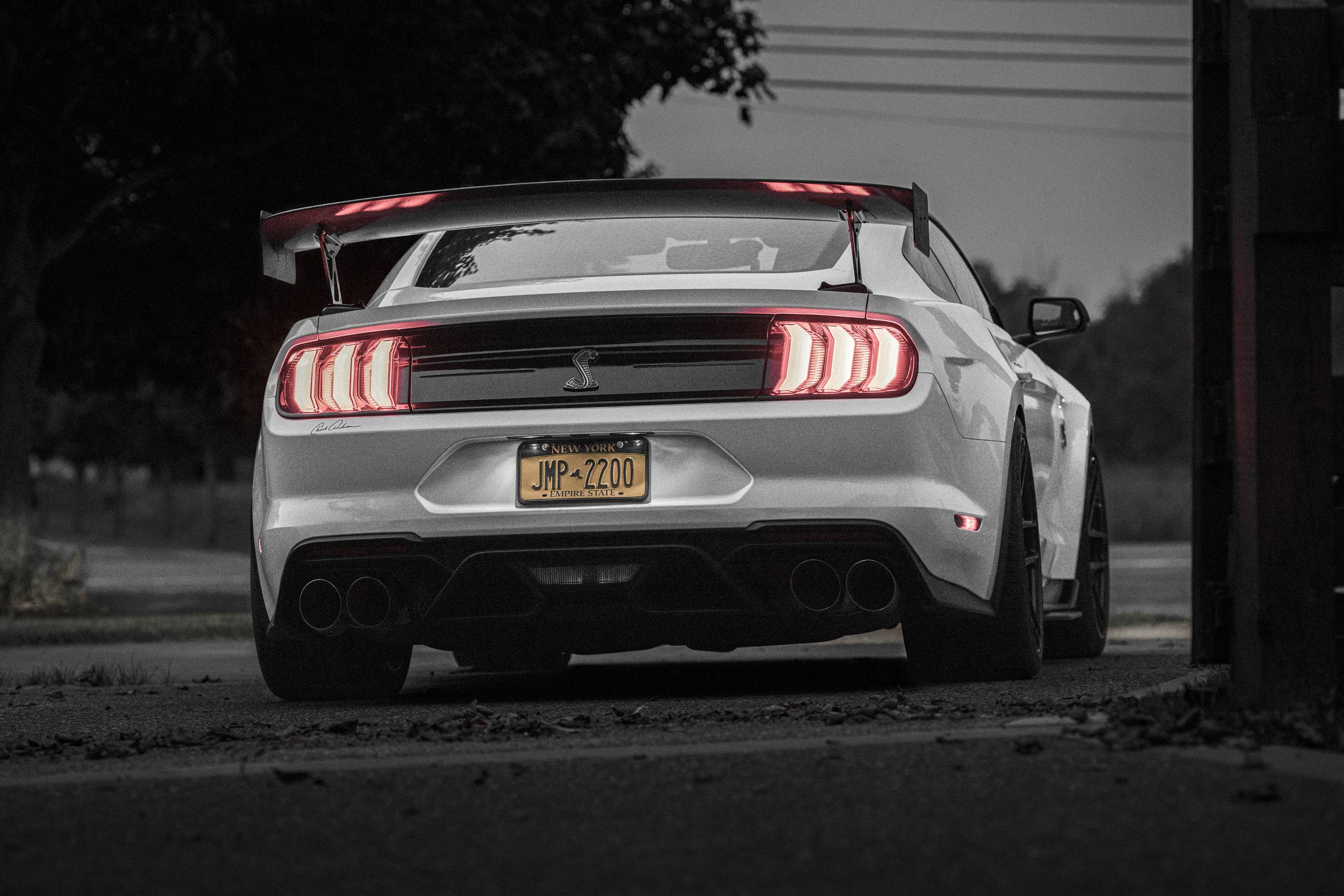 5P1A3657%20copy1-4K.jpg
