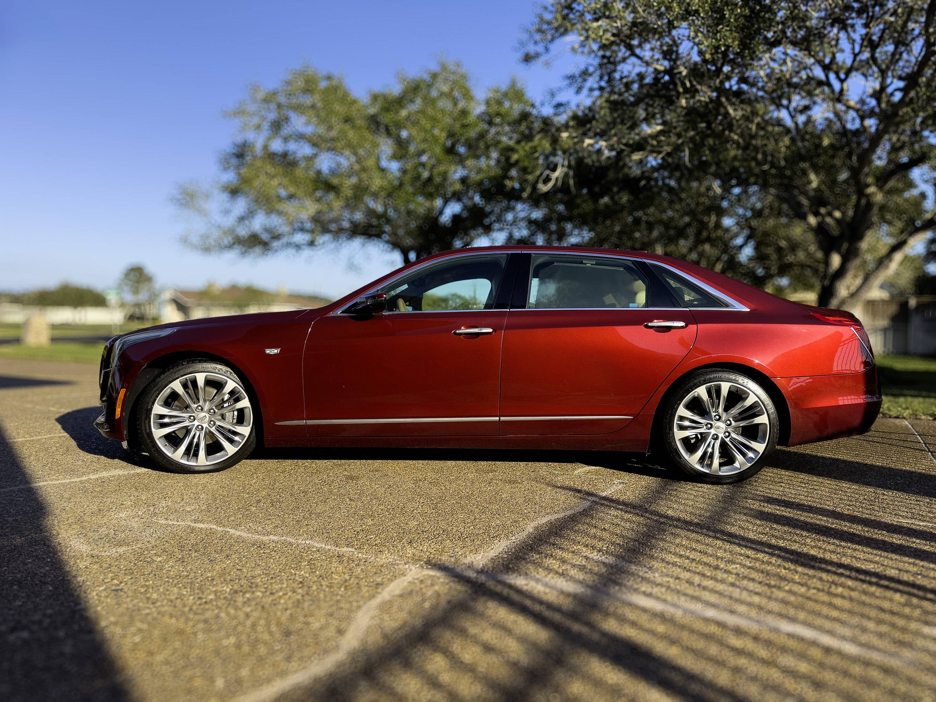 caddy-clean_231231.jpg
