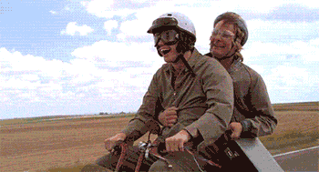 tmp(2).gif