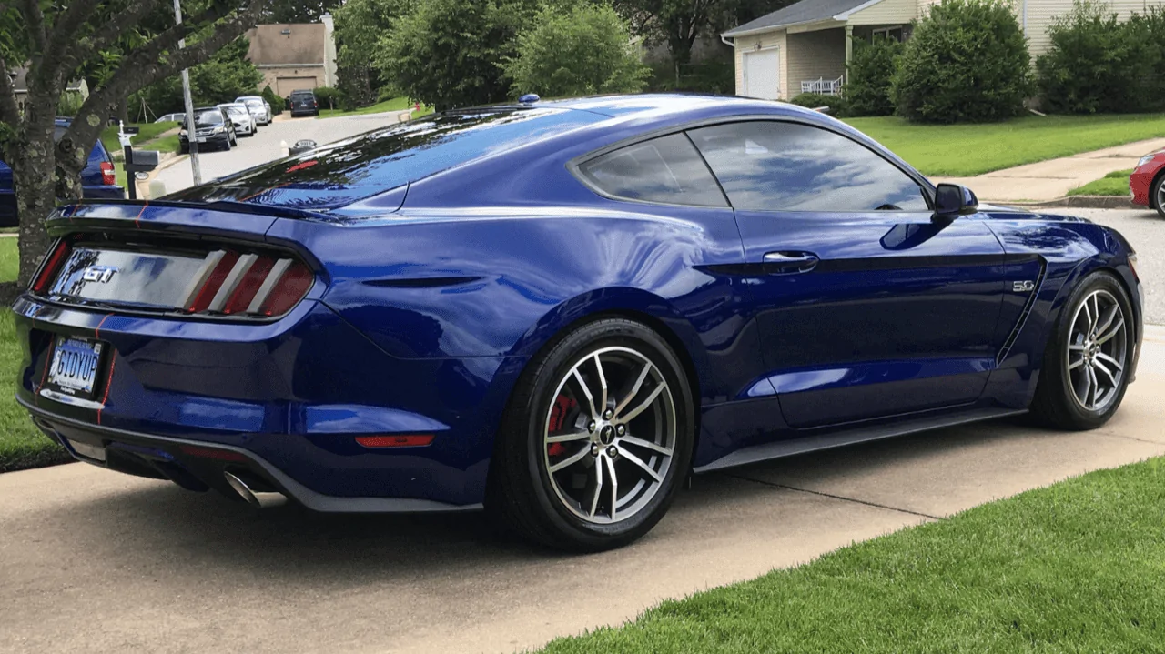 Mustang .webp
