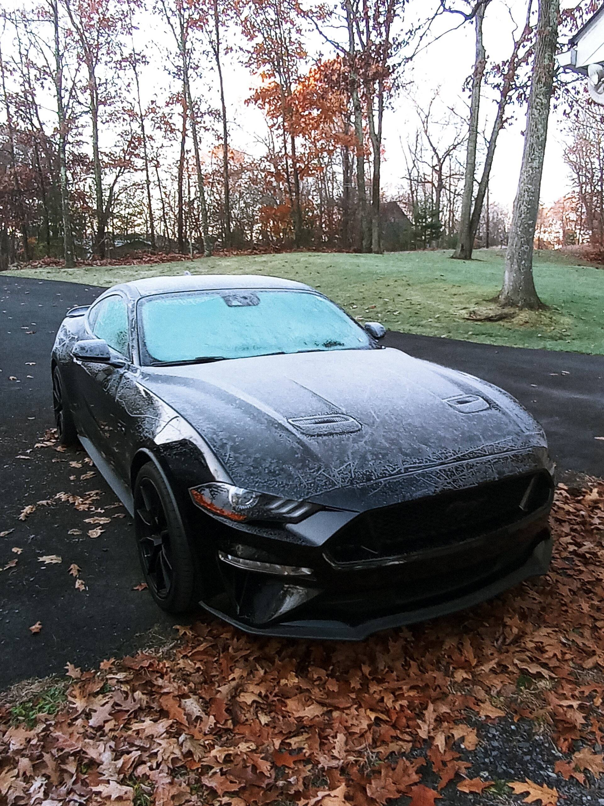 paulm1 - Frost Picture.jpg