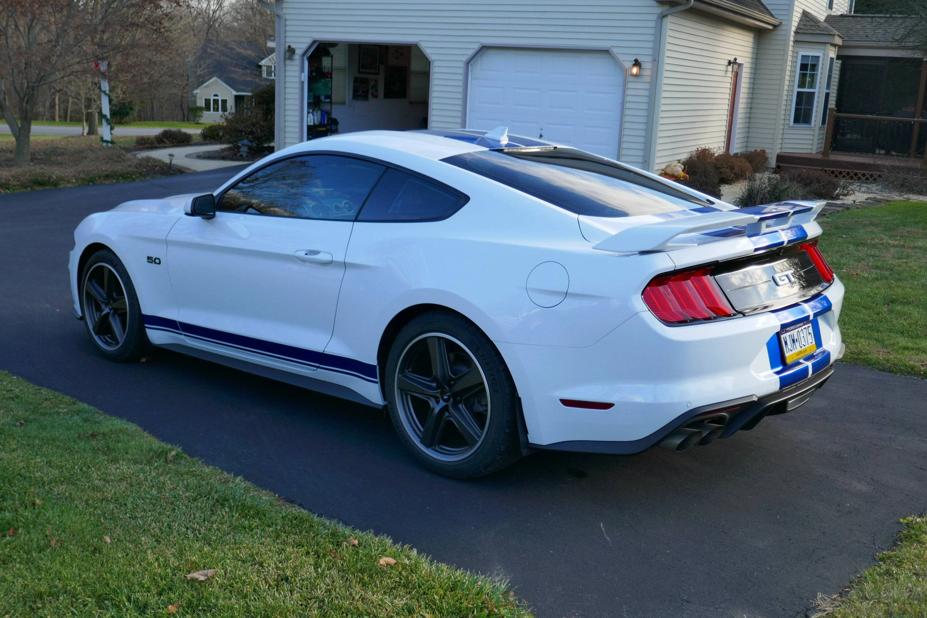P1010983.webp