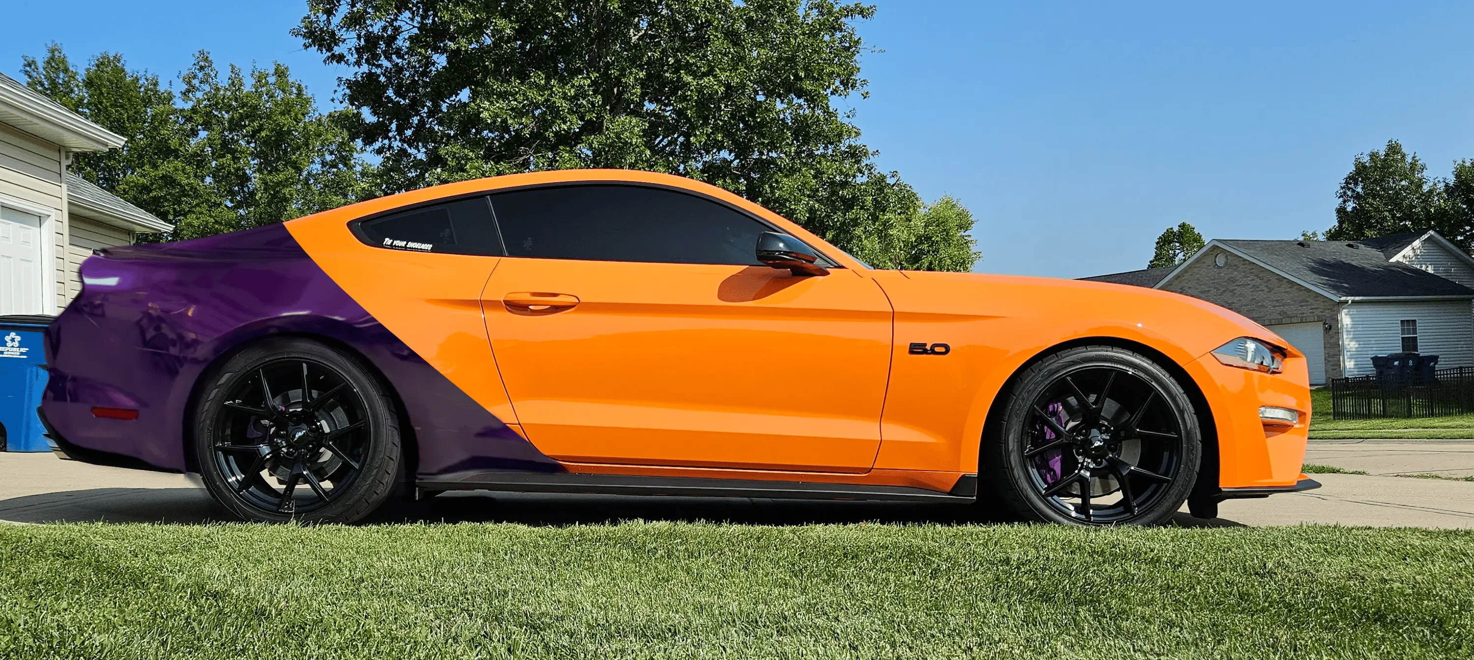 purple mustang.webp