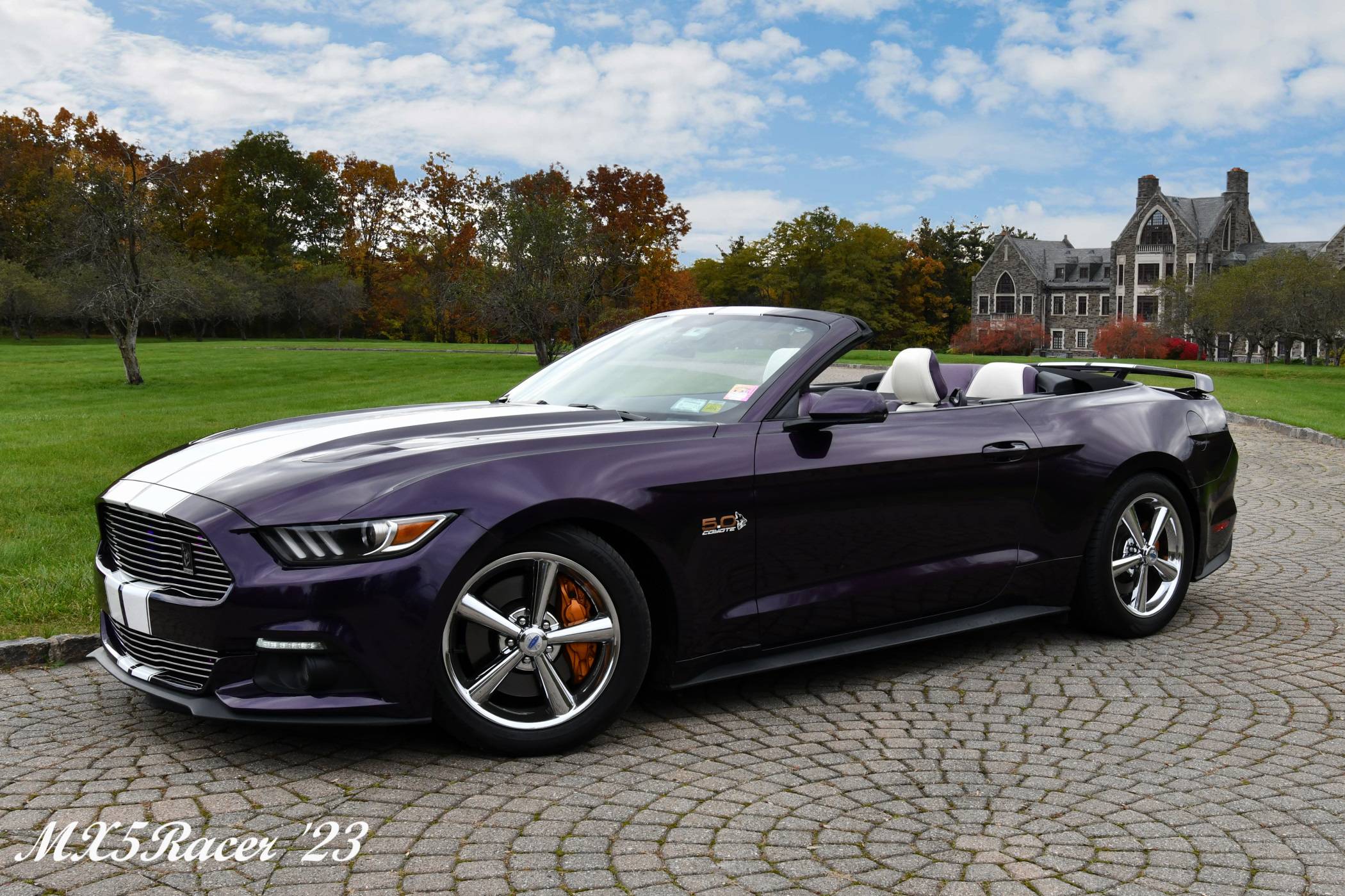 Mustang23-21.jpg