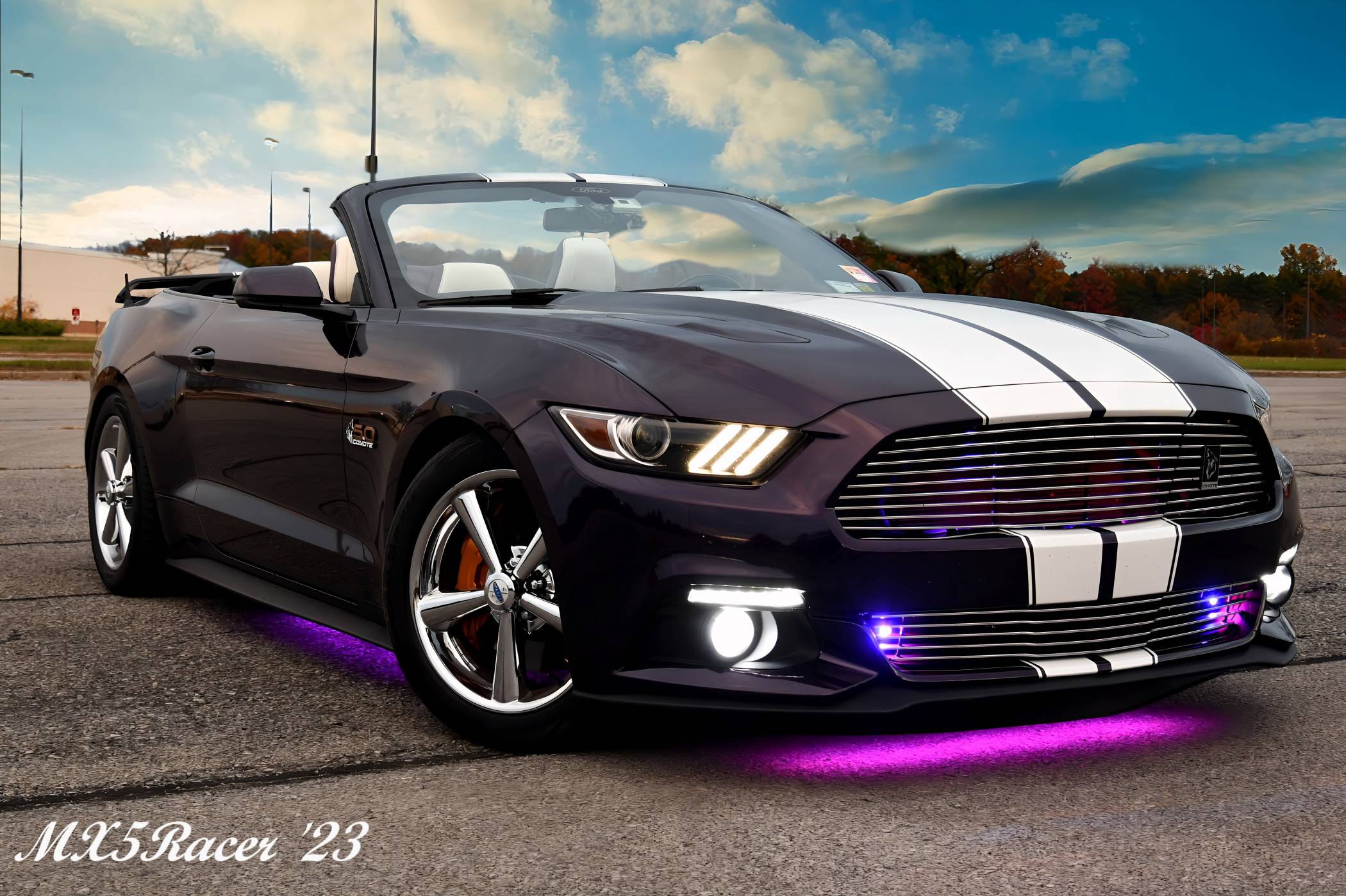 Mustang23-20.jpg