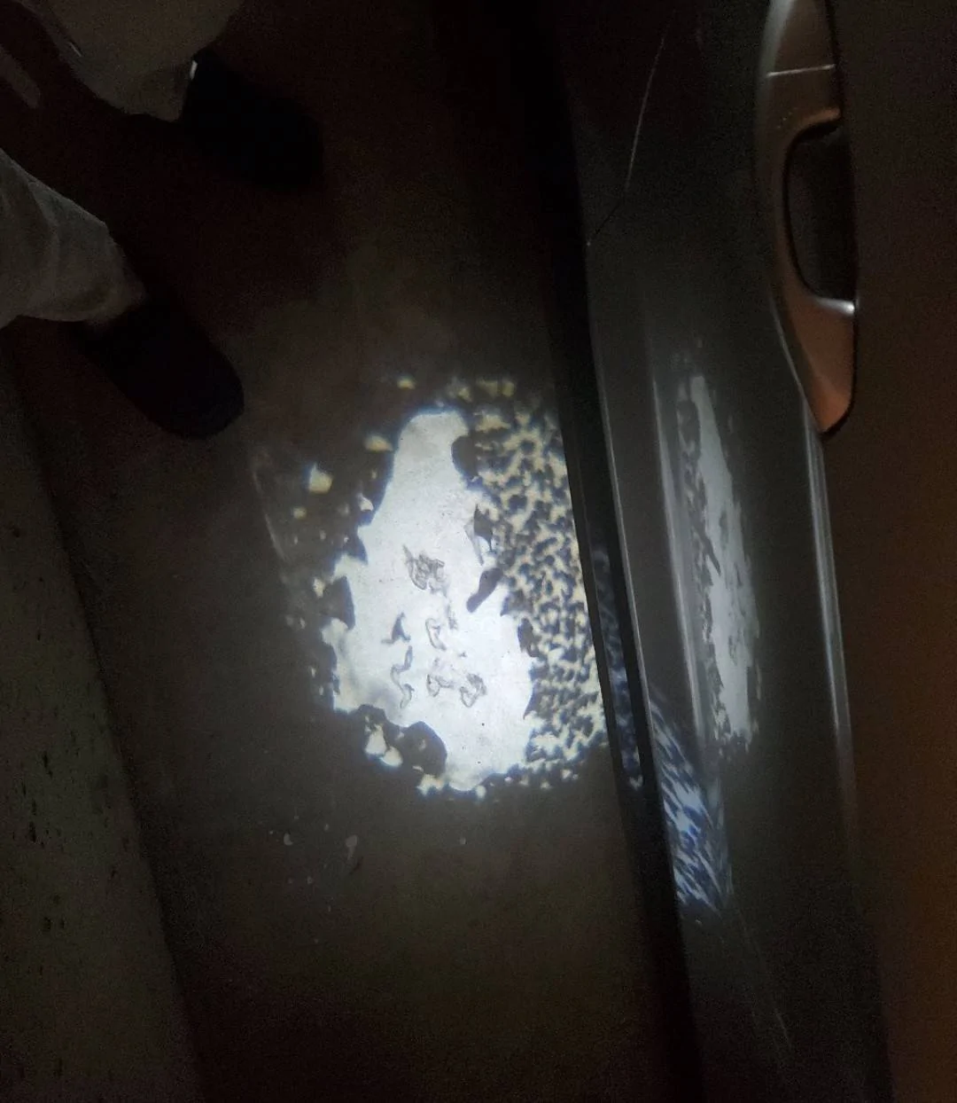 Screenshot_20240124-213014_Gallery~2.webp