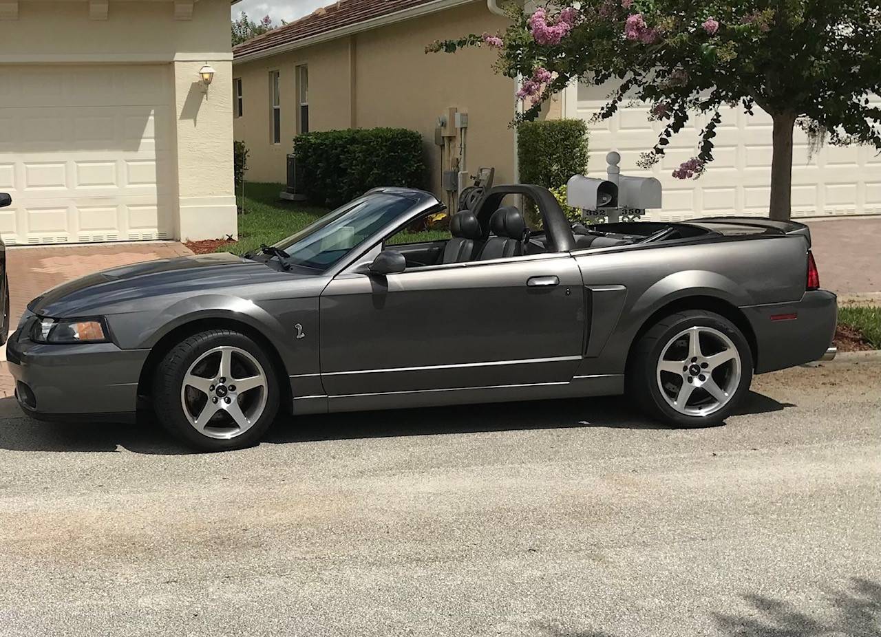 COBRA.jpg