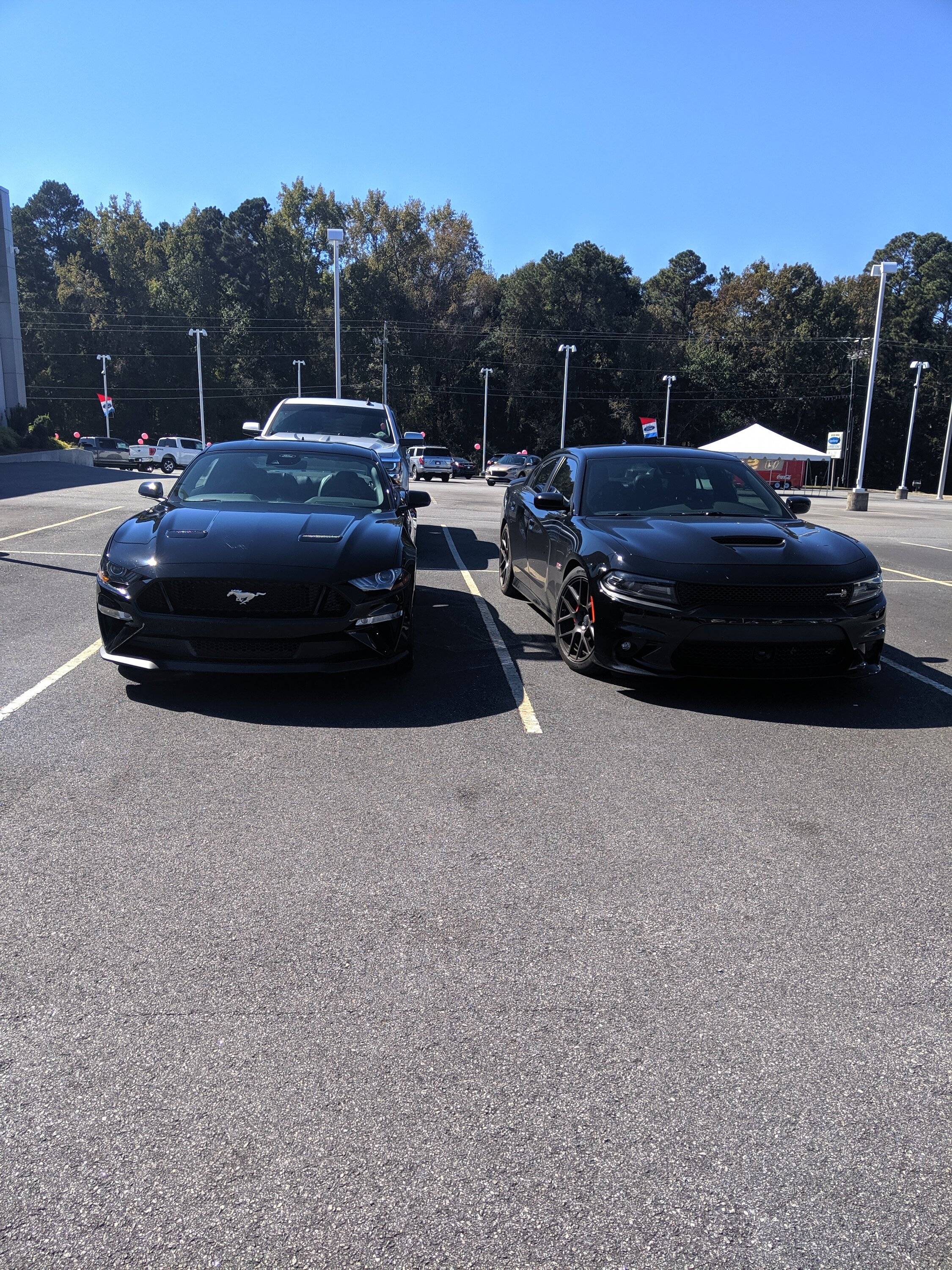 IMG_20211023_133320.jpg