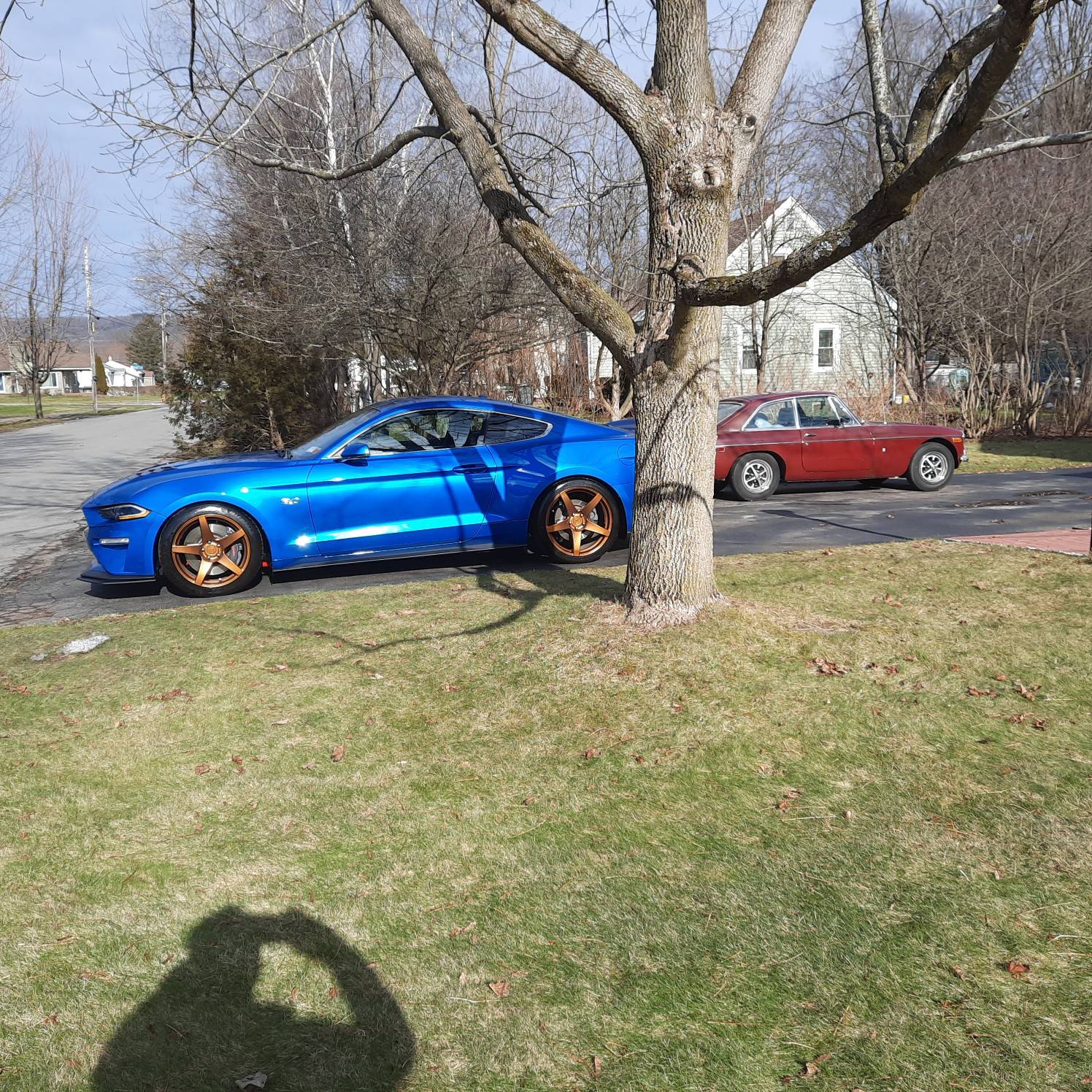 Resized_20240203_135133.jpeg