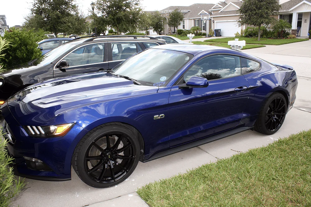 mustang4.webp