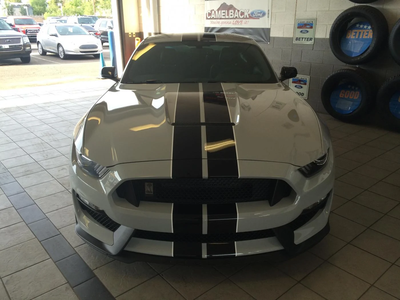 gils shelby_4.webp