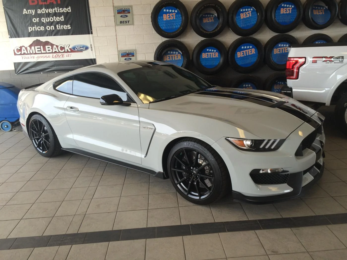 gils shelby.webp