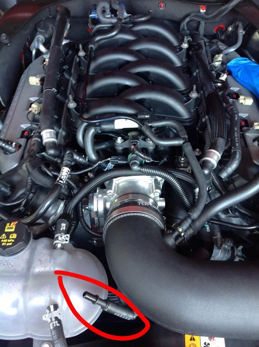 image.webp